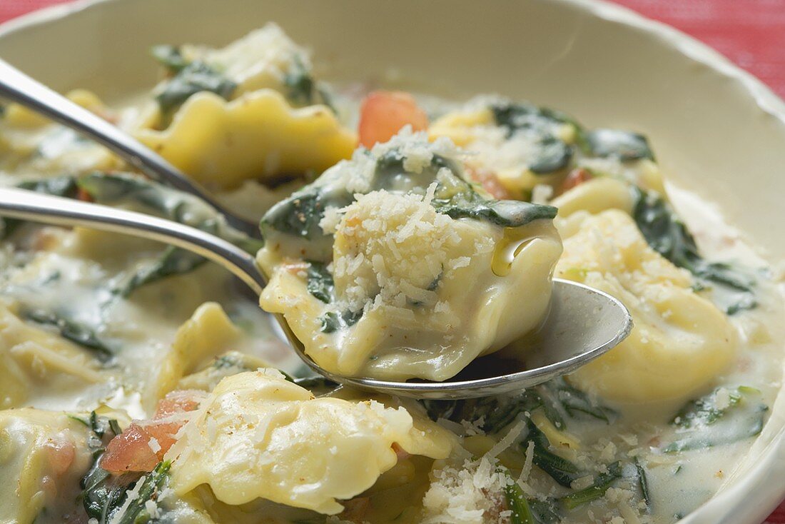 Tortellini with spinach and cream sauce and Parmesan