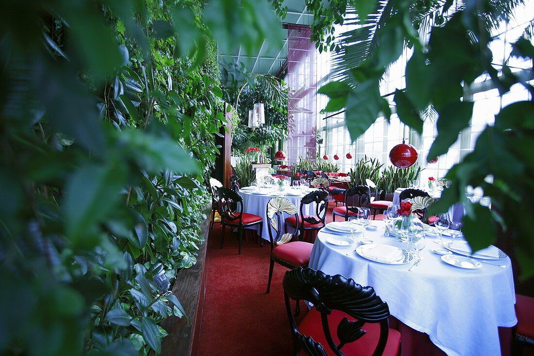 Festive tables in a conservatory