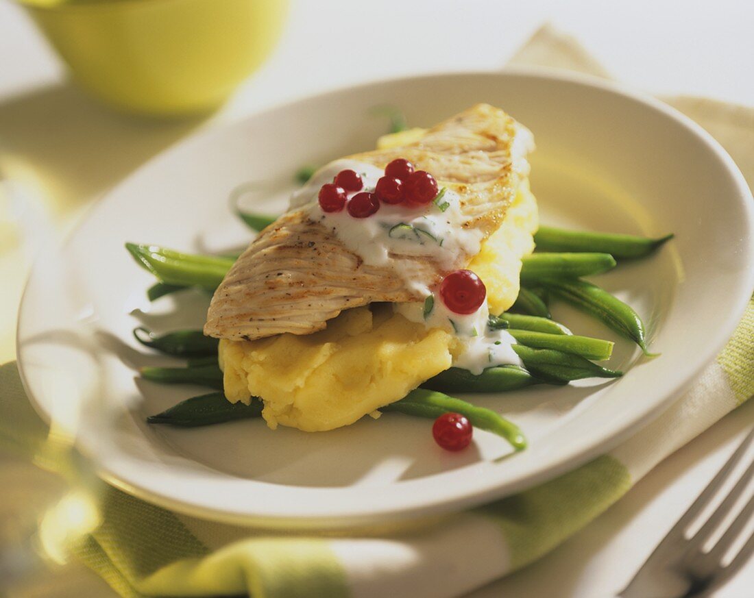 Roast turkey breast with mashed potato, beans, yoghurt sauce