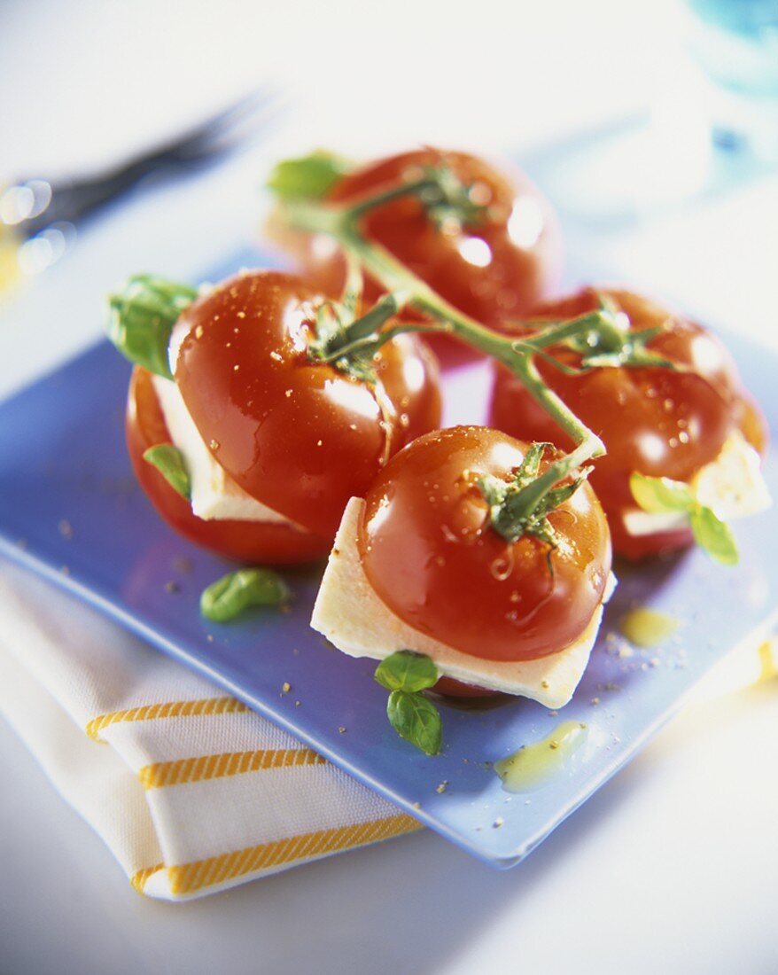 Strauchtomaten mit Mozzarella und Basilikum gefüllt