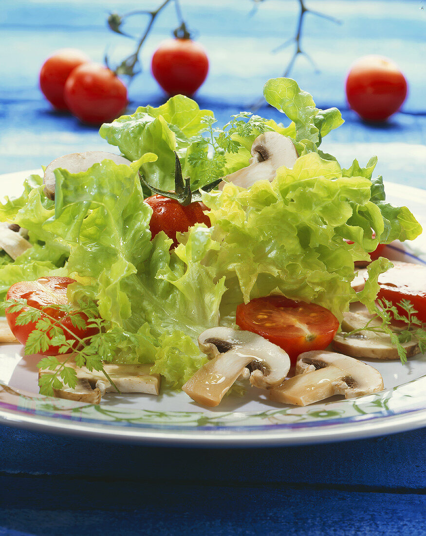 Tomato and mushroom salad