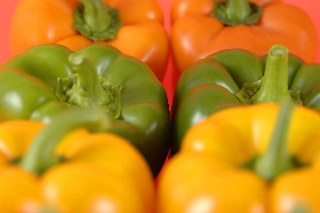 Yellow, green and orange peppers