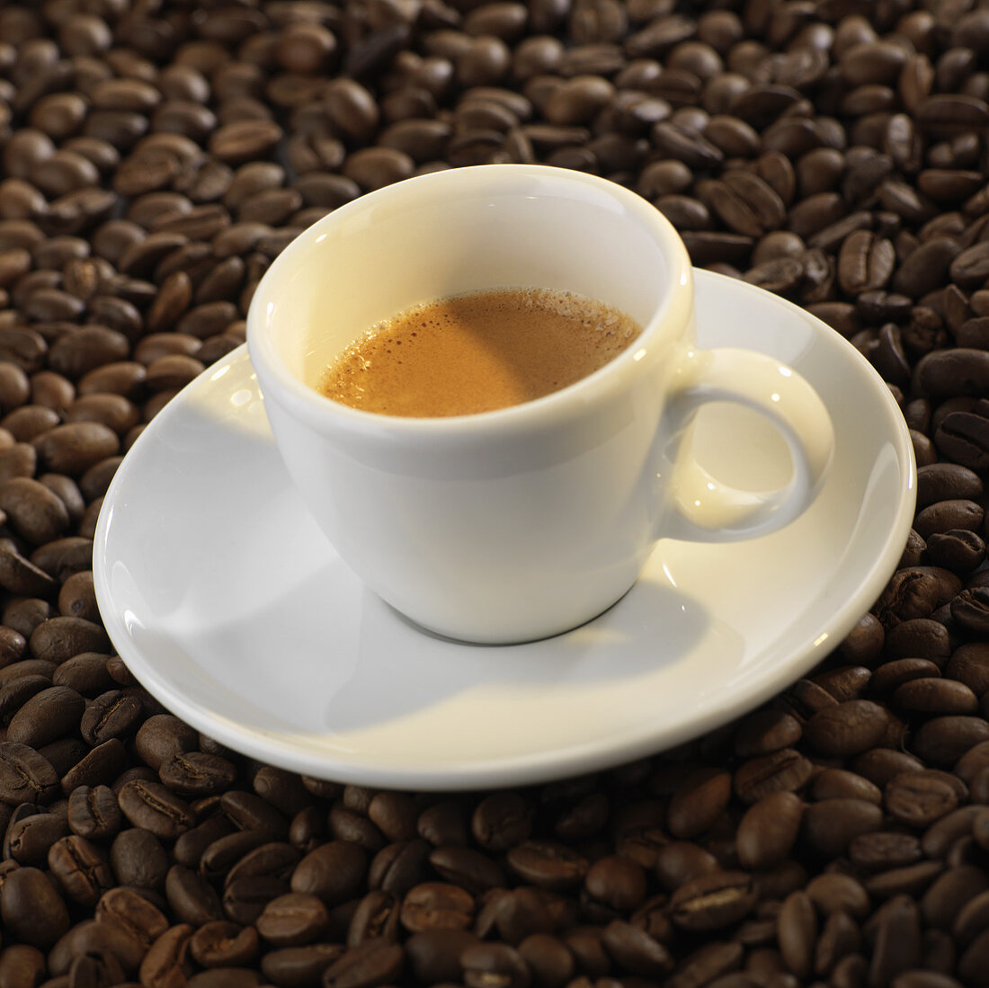 A cup of espresso on coffee beans