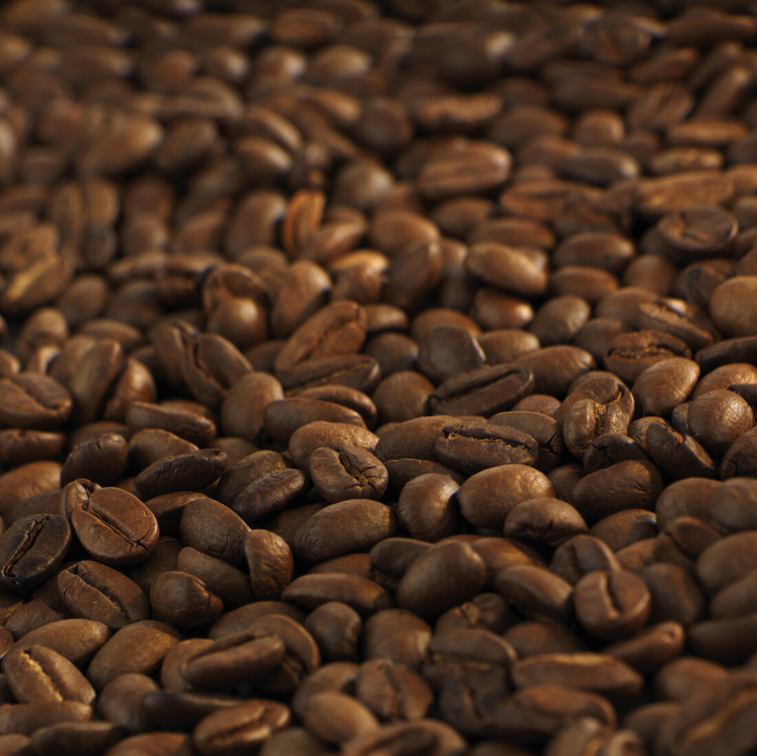 Coffee beans (full-frame)