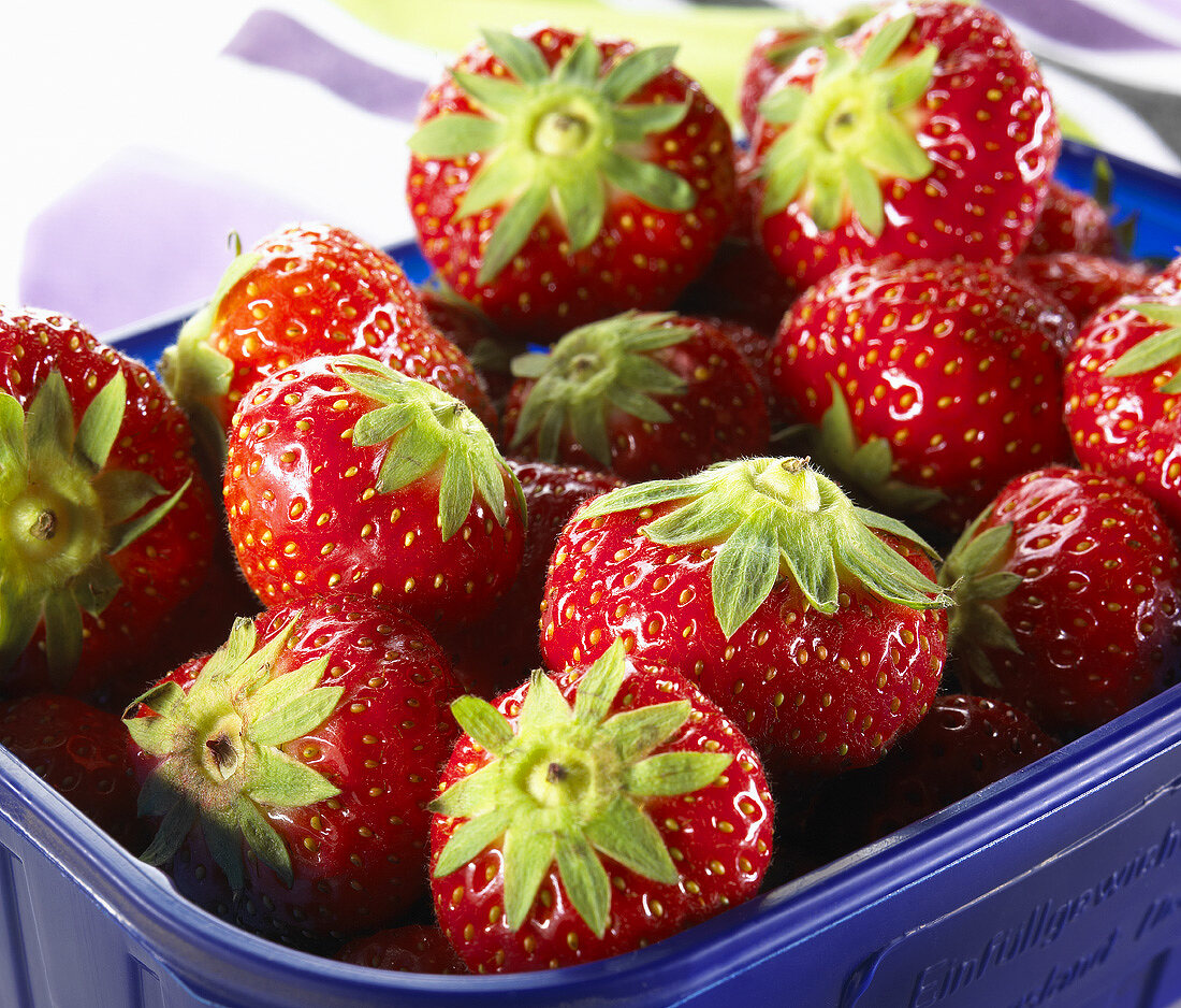 Frische Erdbeeren in einer Plastikschale