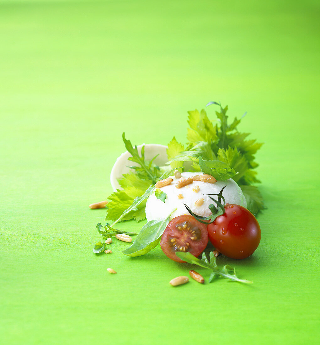 Mozzarella mit Salat und Tomaten