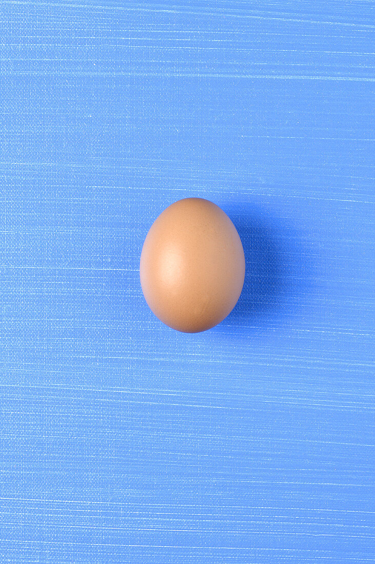 A brown egg against a blue background