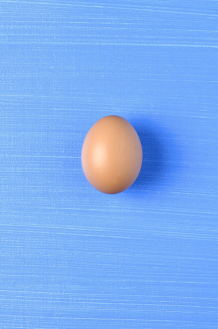 Ein braunes Ei vor blauem Hintergrund