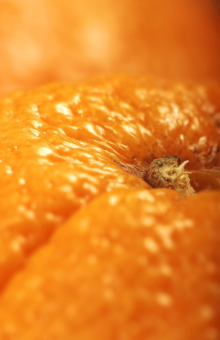 Eine Orange (Nahaufnahme)