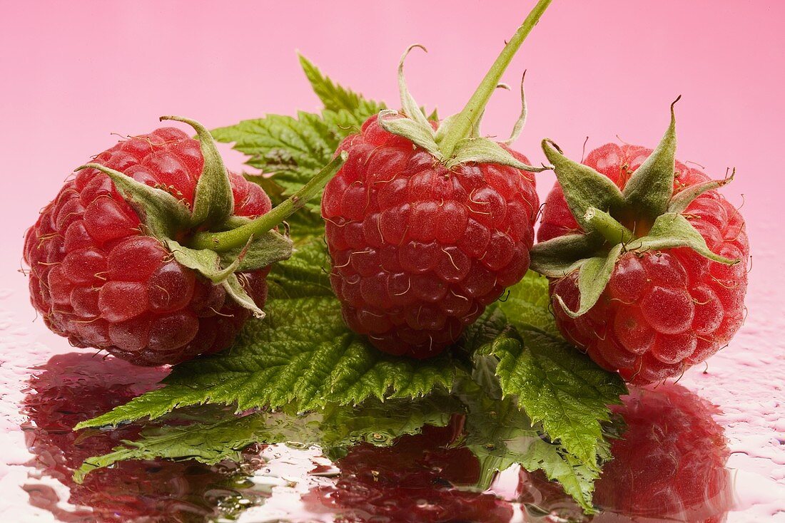 Three raspberries with leaves