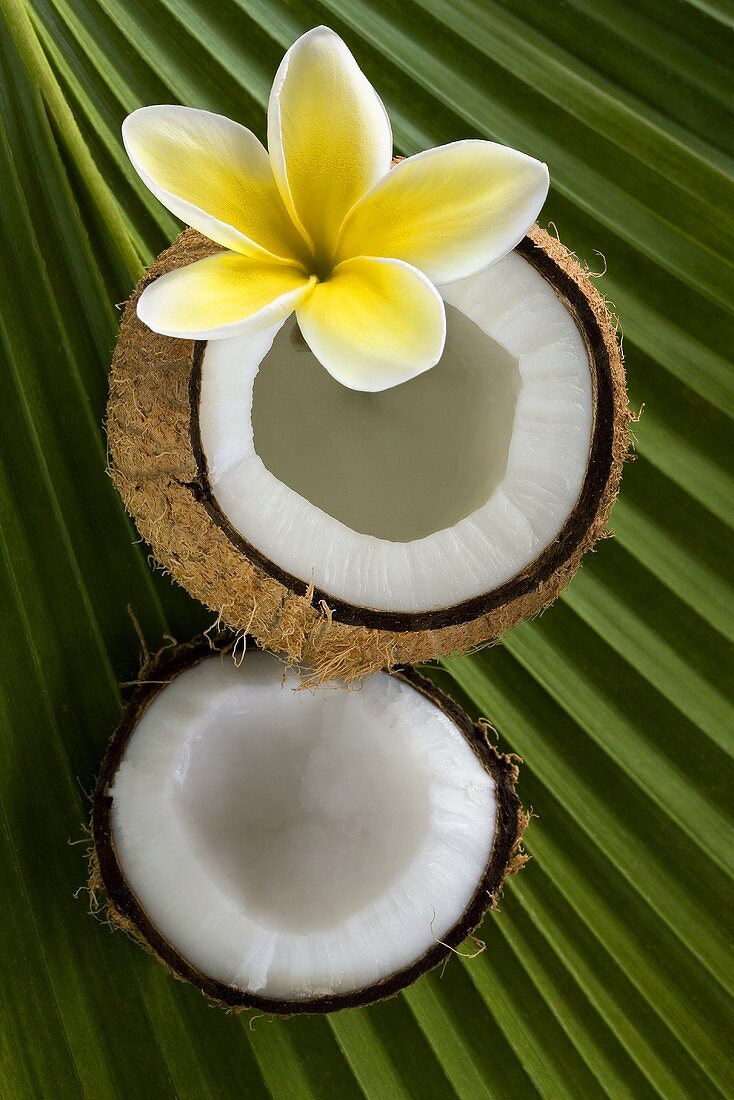 Kokosnuss mit Plumeria auf Palmenblatt