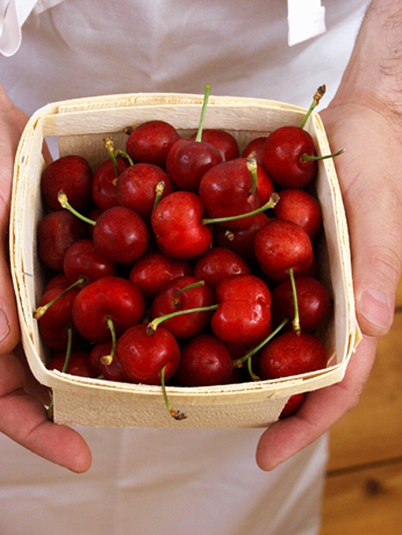 Holding a Box of Bing Cherries