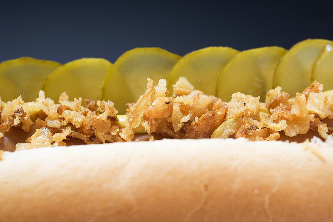 Classic hot dog (detail)