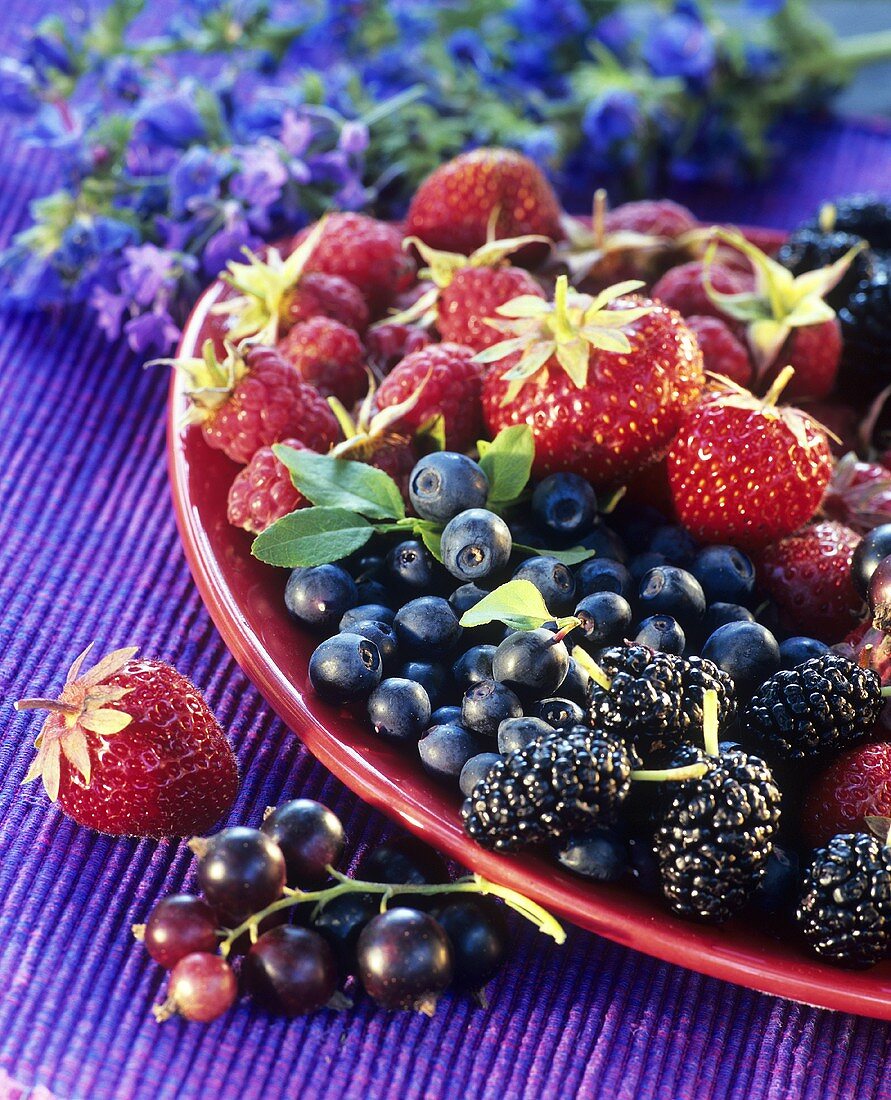 Freshly picked berries