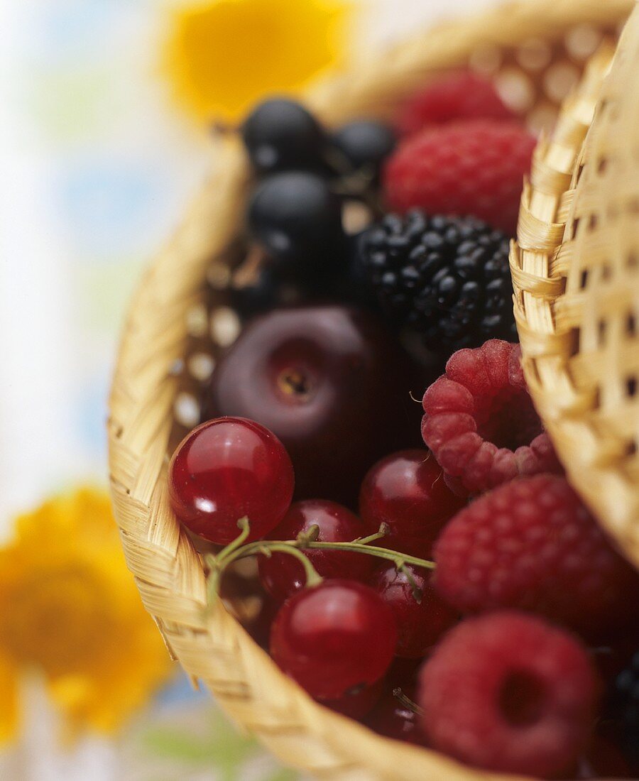 Korb mit frischen Beeren und Kirschen