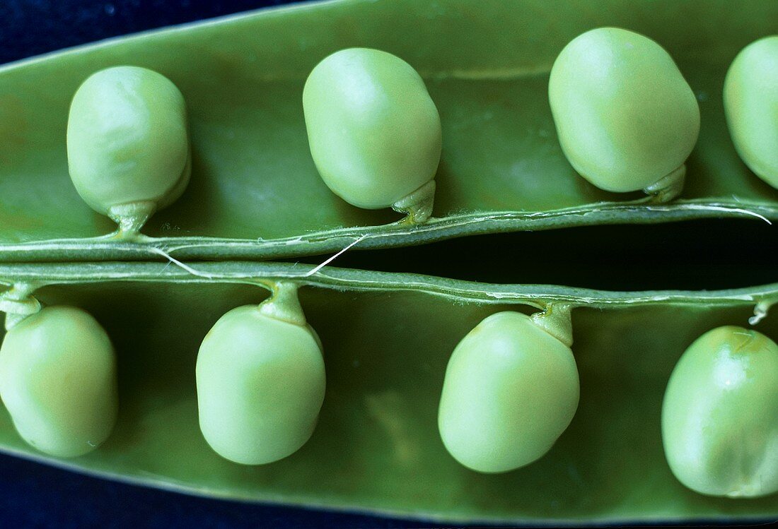 Opened pea pod with peas (close-up)