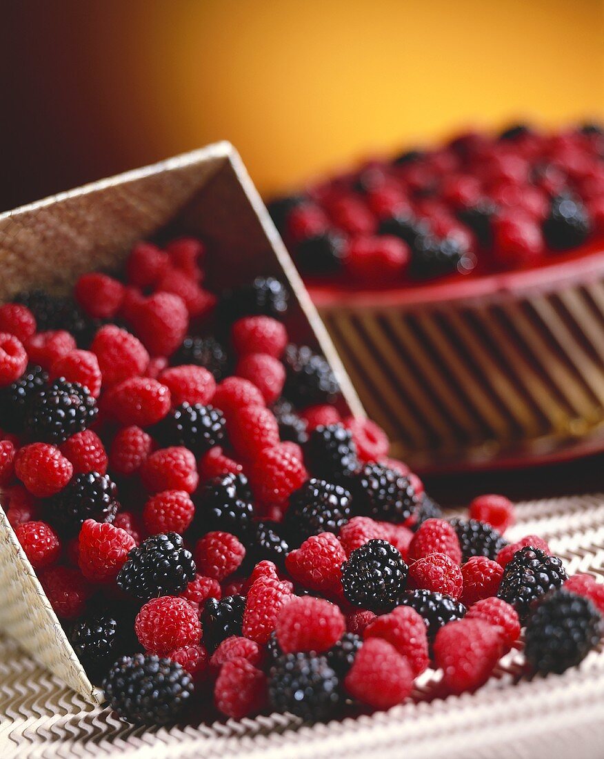 Raspberries and Blackberries Spilling from a Basket