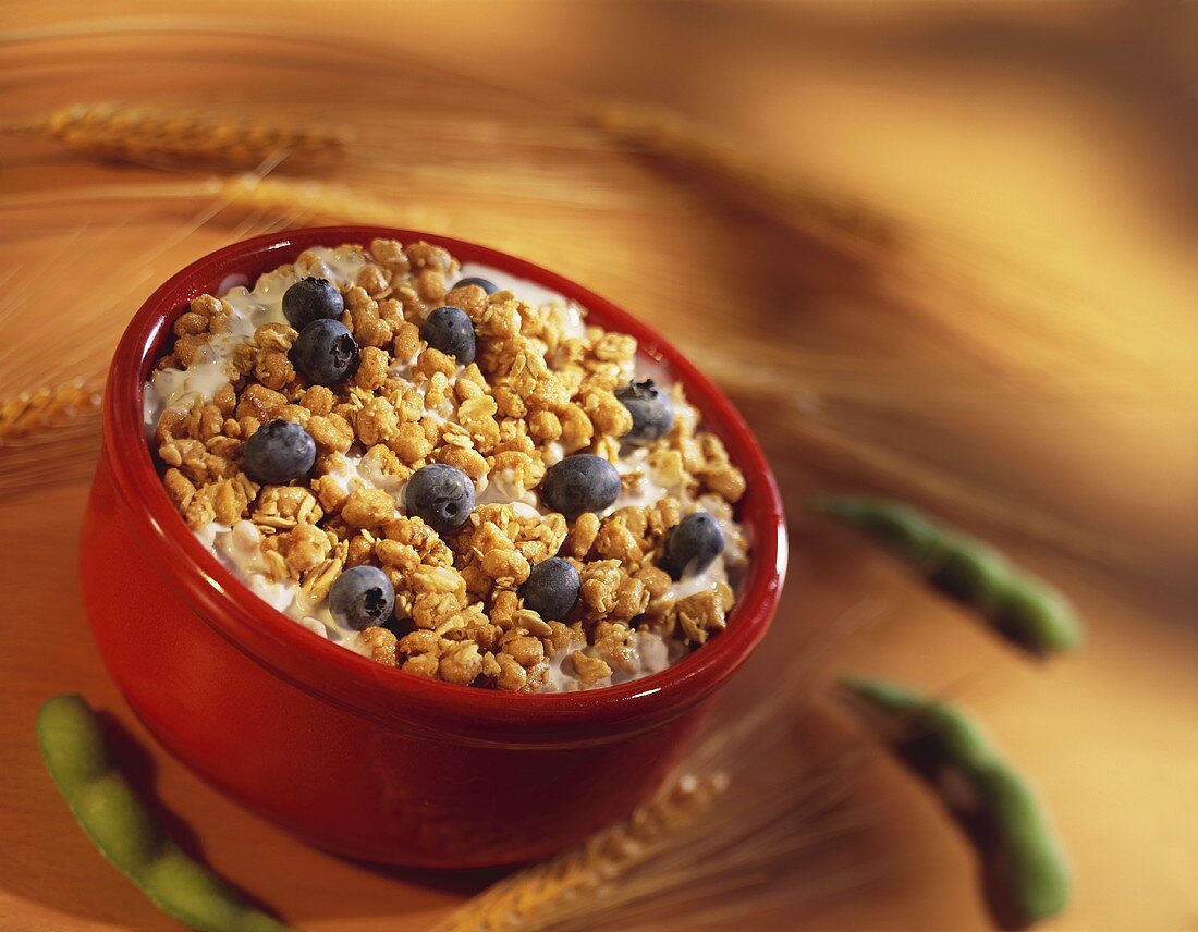 Granola mit Heidelbeeren und Joghurt mit Getreideähren