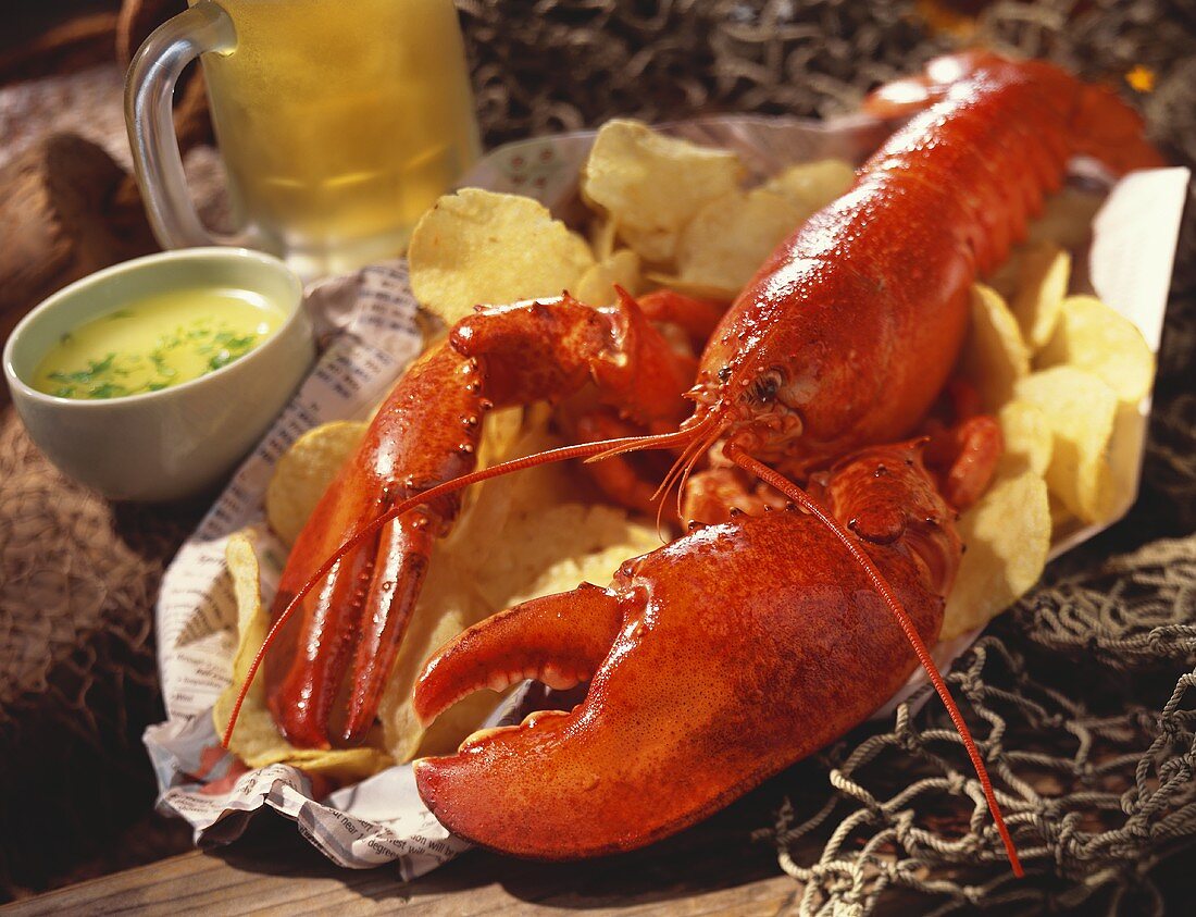 Cooked lobster with potato crisps