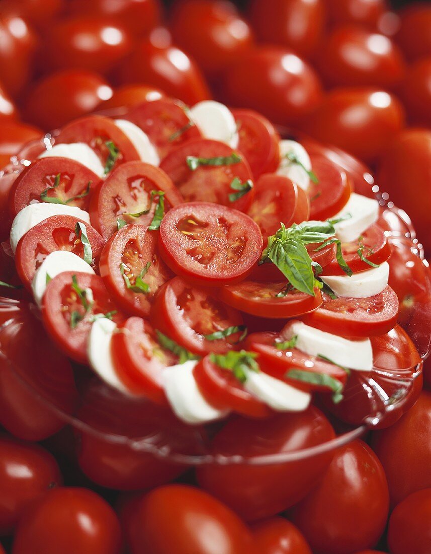 Plate of Caprese Salad on Tomatoes