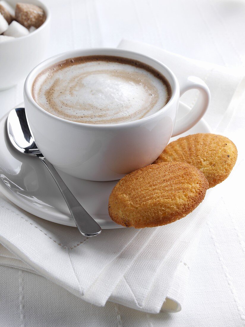 Cup of Cappuccino with Two Madeleines