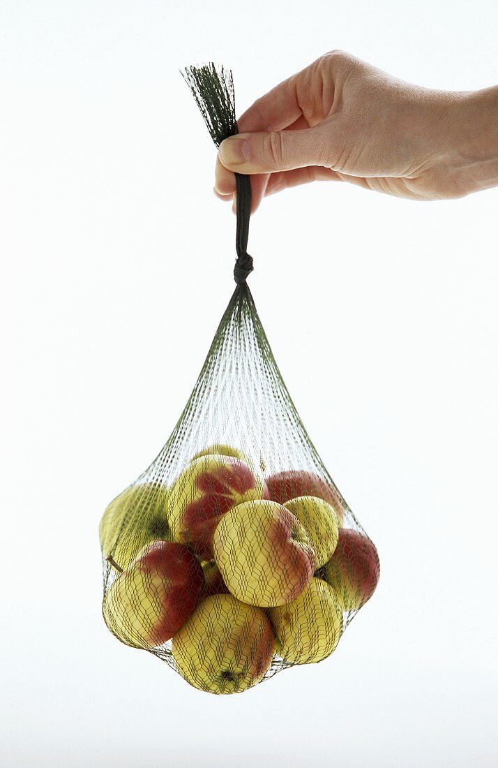 Apples (variety: Lady) in a net