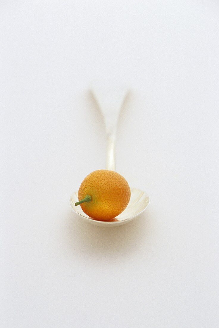 A kumquat on a spoon