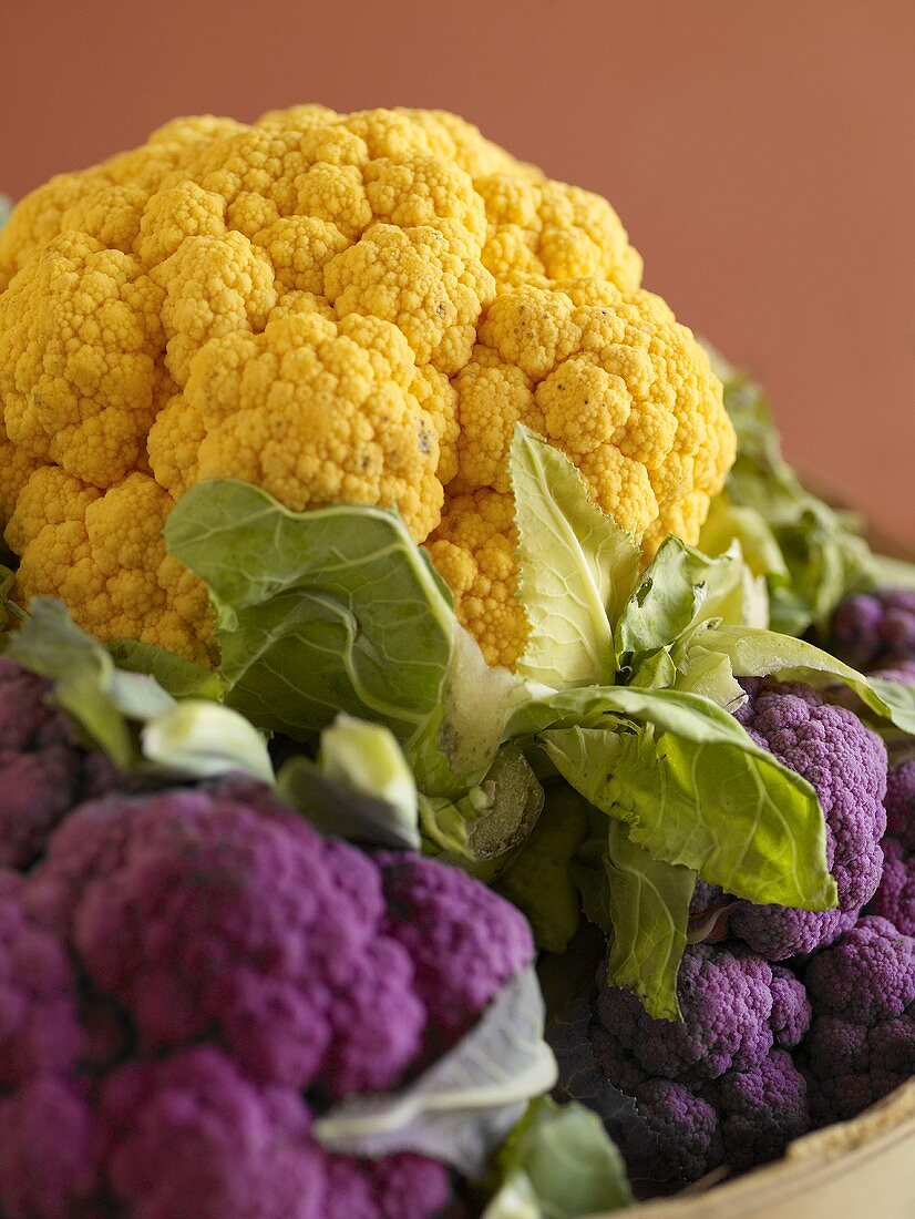 Yellow and purple cauliflowers