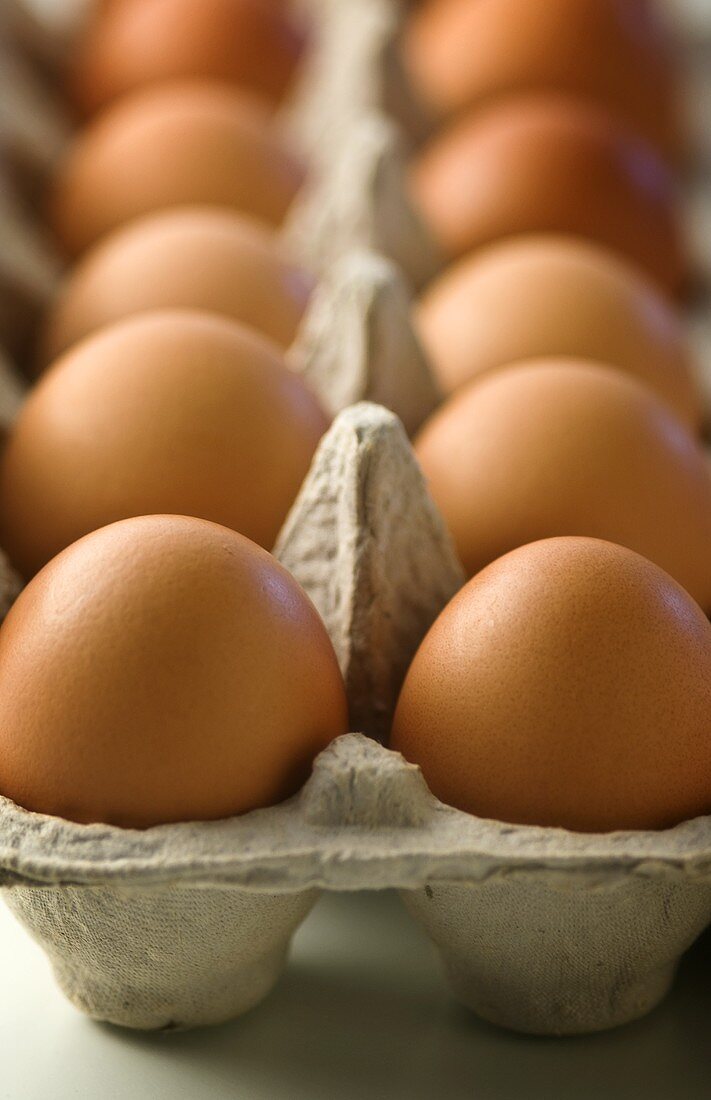 Braune, frische Eier im Eierkarton