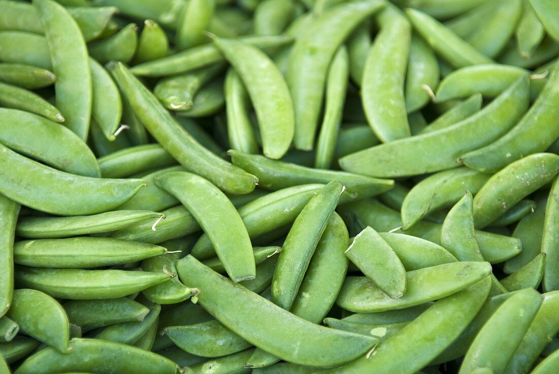 Full Frame of Fresh Pea Pods