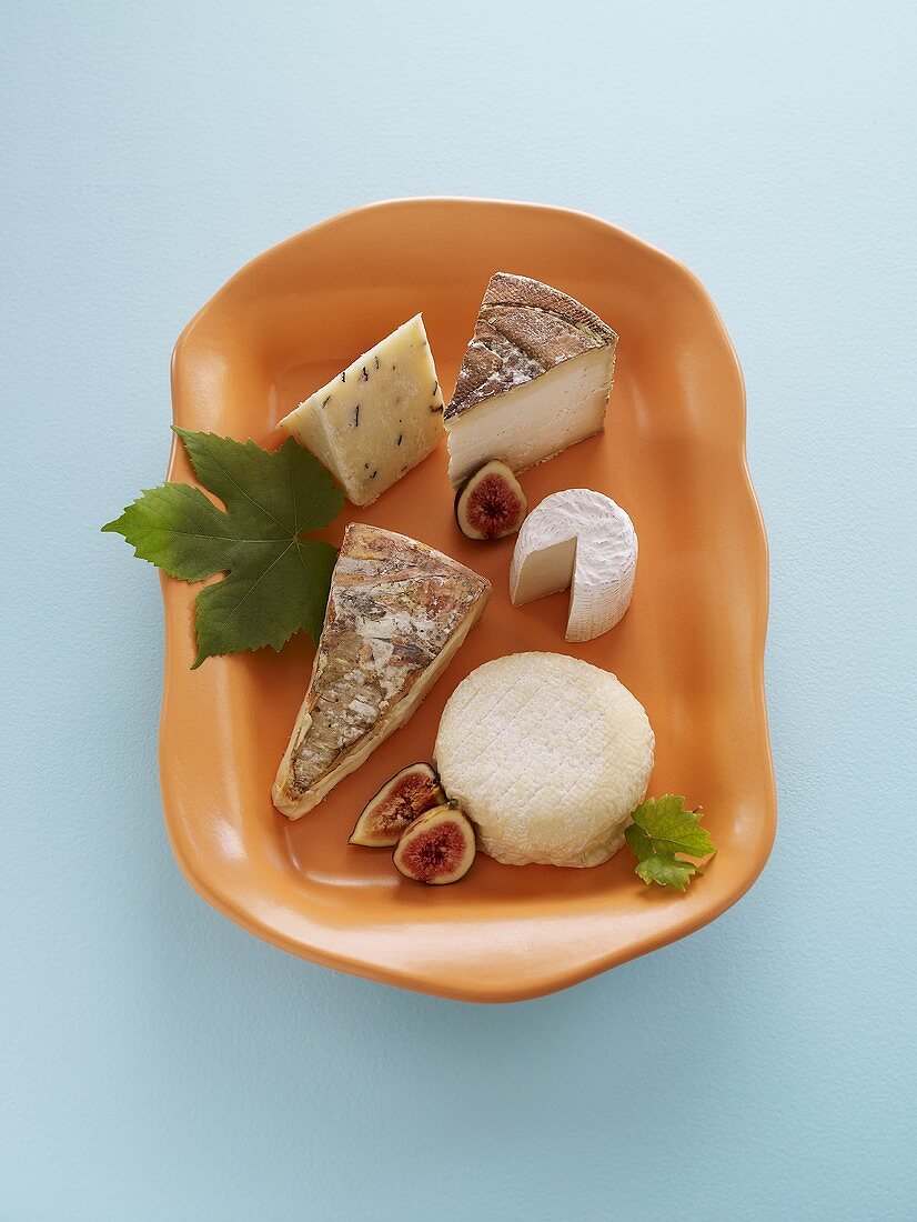 Various Cheese with Figs on Dish