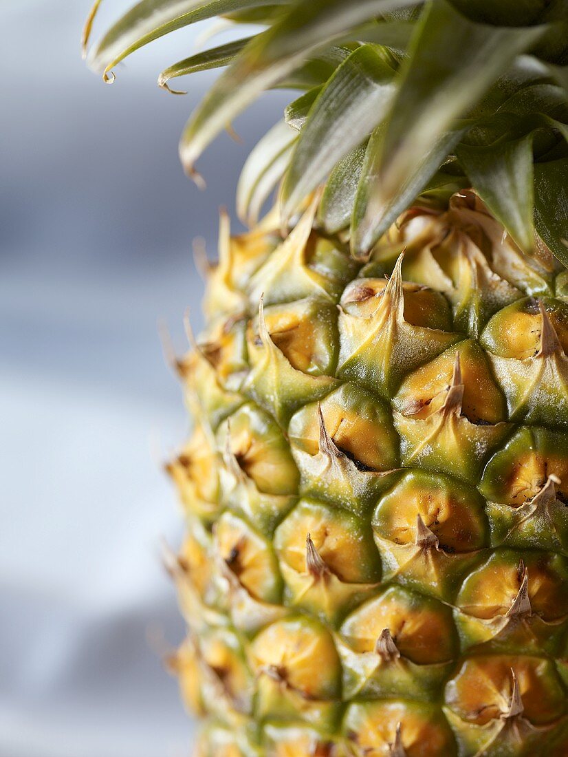 Whole Pineapple; Close Up