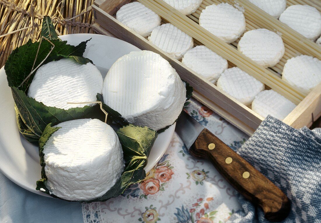 Assorted Goat Cheese; Wooden Box & Plate