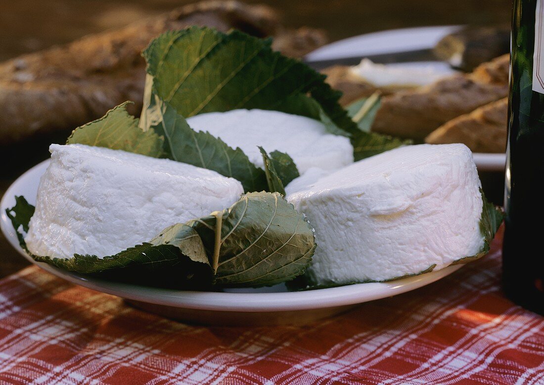 Goat Cheese Wrapped in Leaves on a Plate