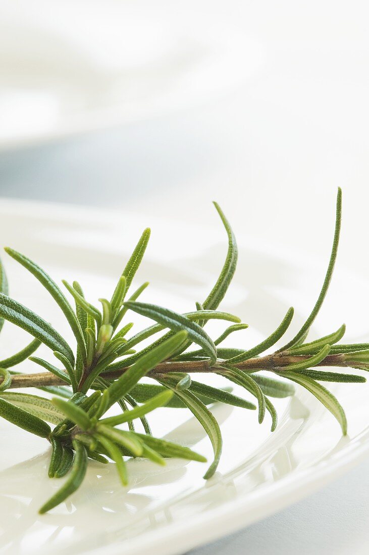 Fresh rosemary on a plate