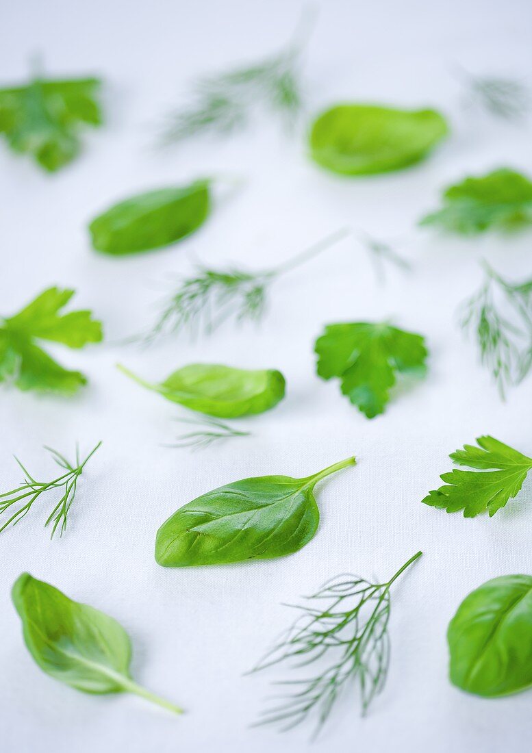 Various fresh herbs