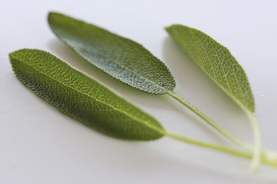 Three sage leaves