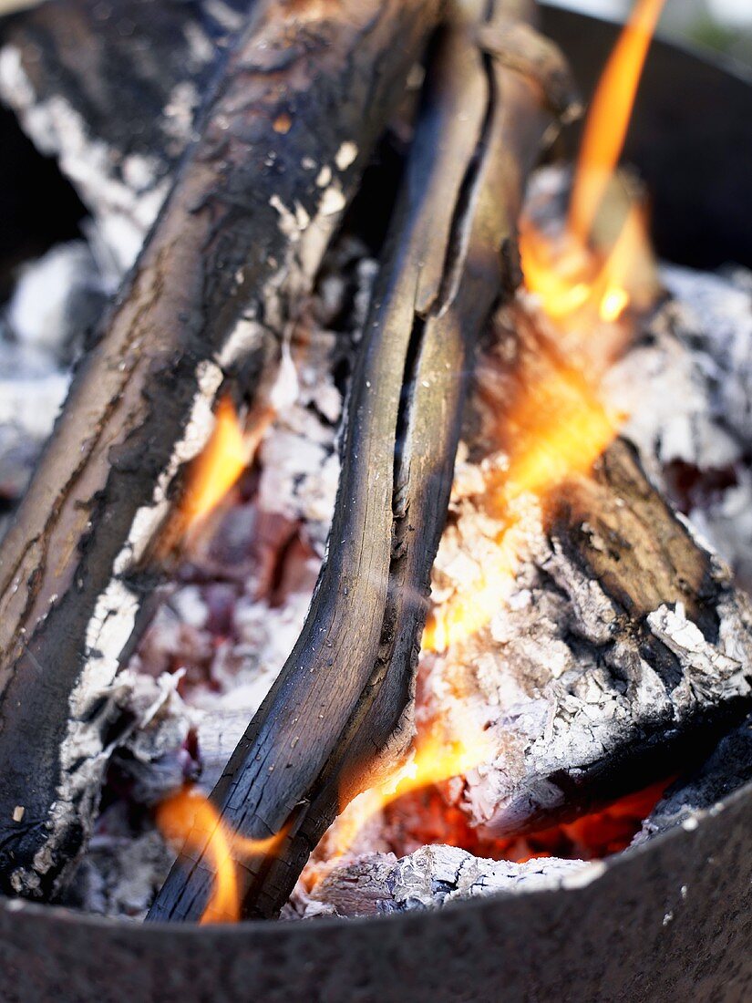 A burning wood fire