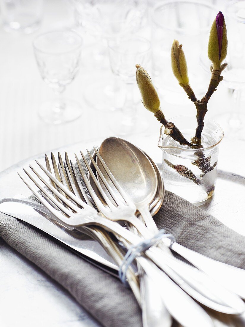 Utensils for Place Setting on a Cloth Napkin