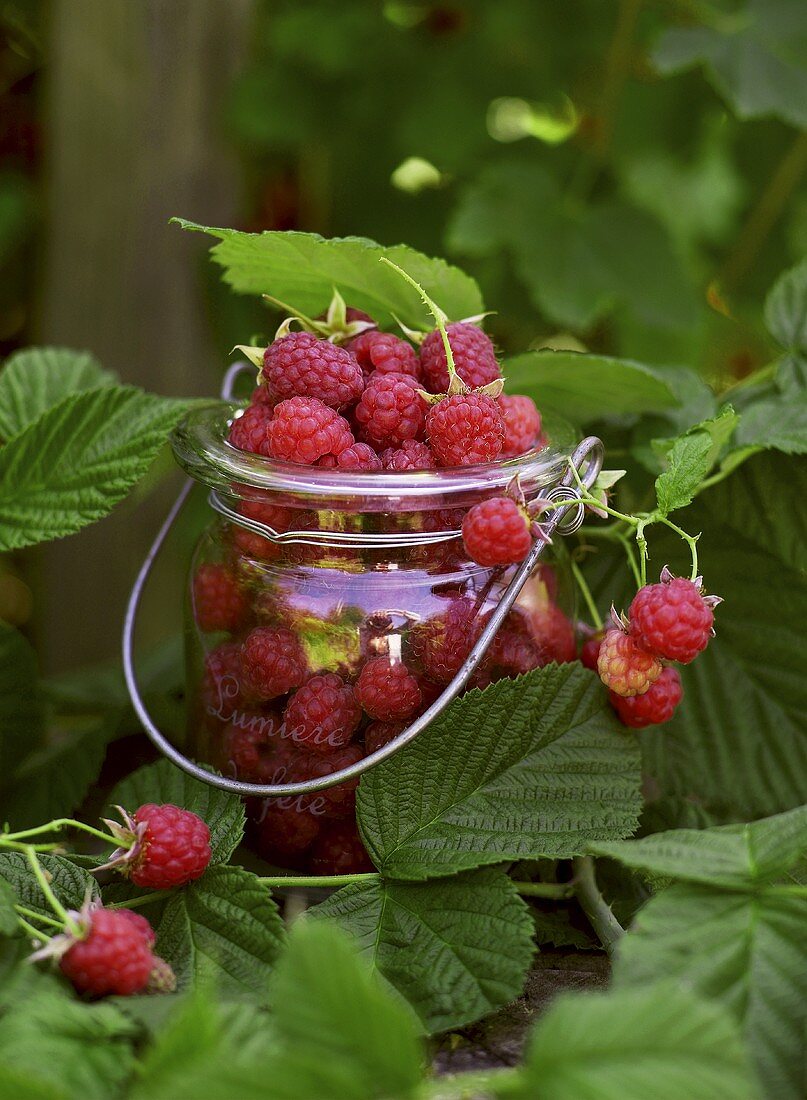 A jar of fresh raspberries