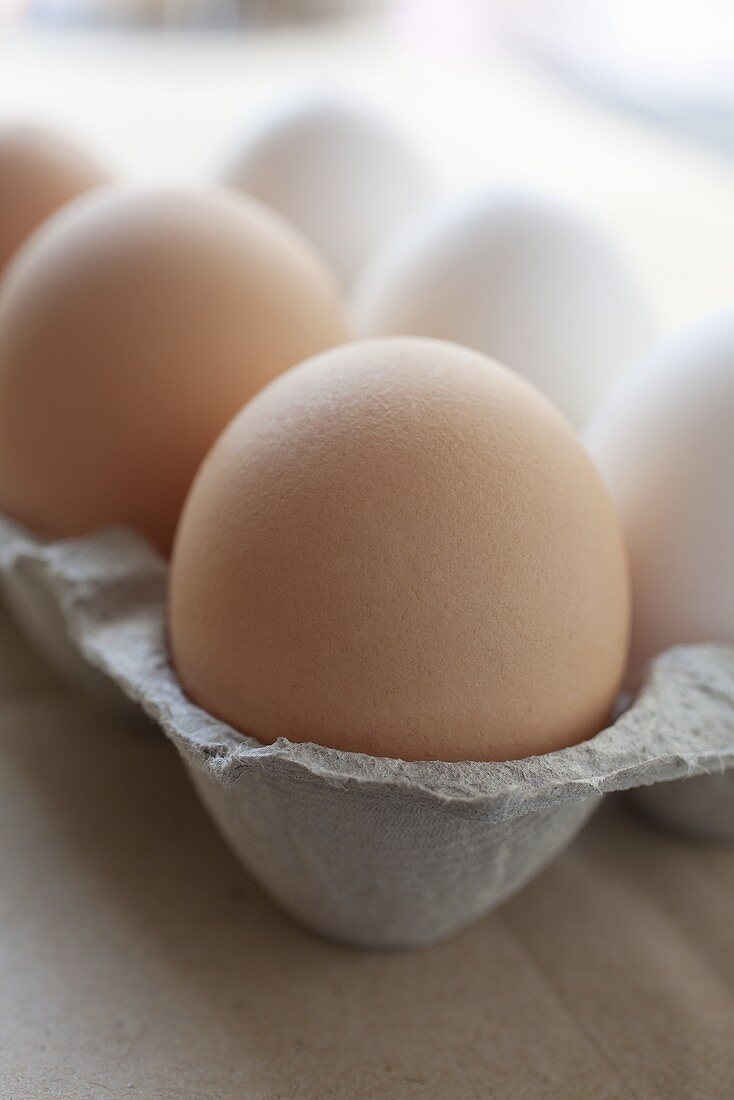 Six eggs in an egg box