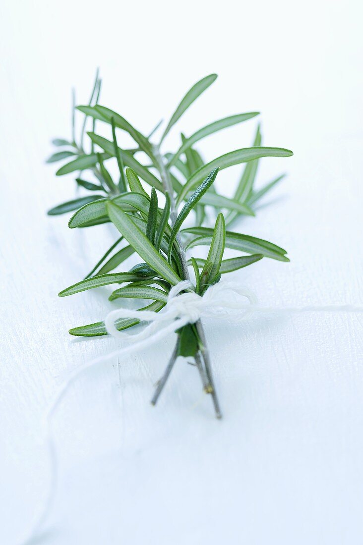 A bunch of fresh rosemary