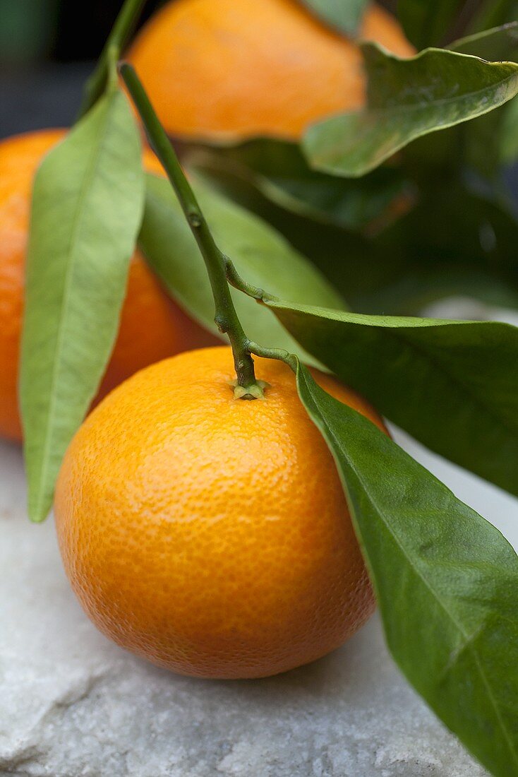 Mehrere Mandarinen mit Blättern (Nahaufnahme)