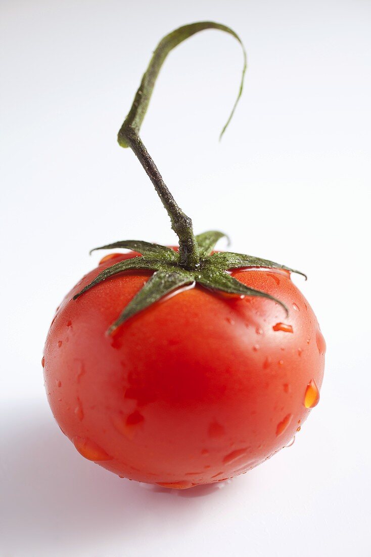 Eine Tomate mit Stiel und Wassertropfen