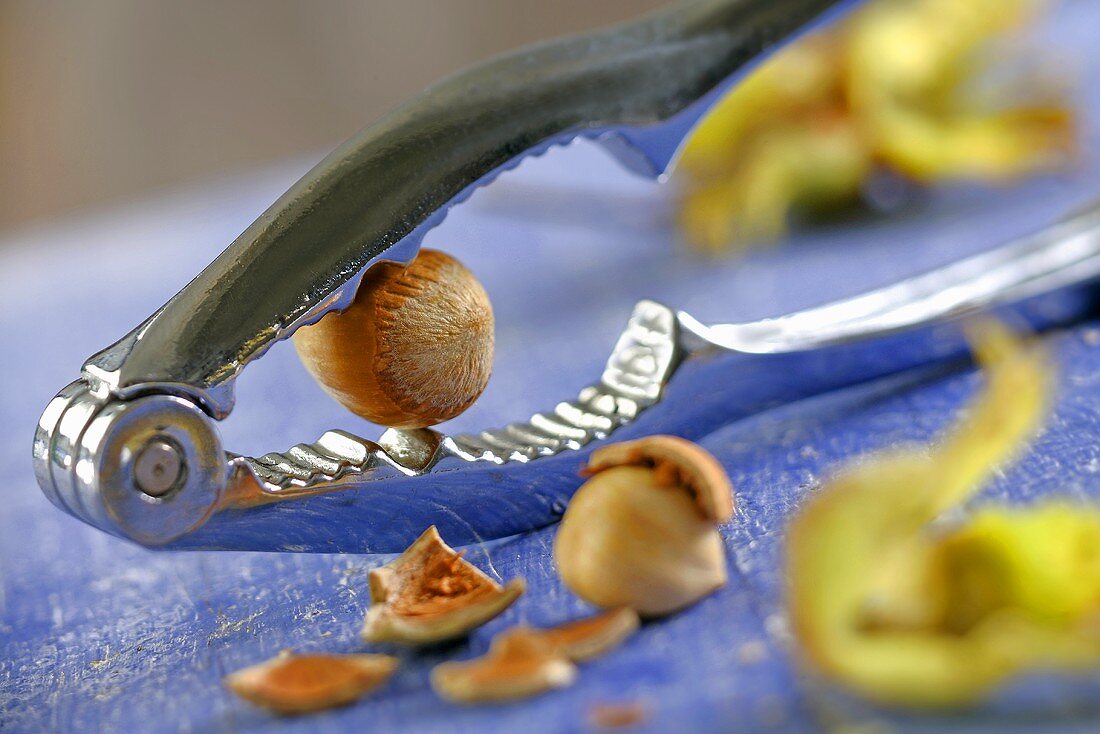 Hazelnuts being cracked