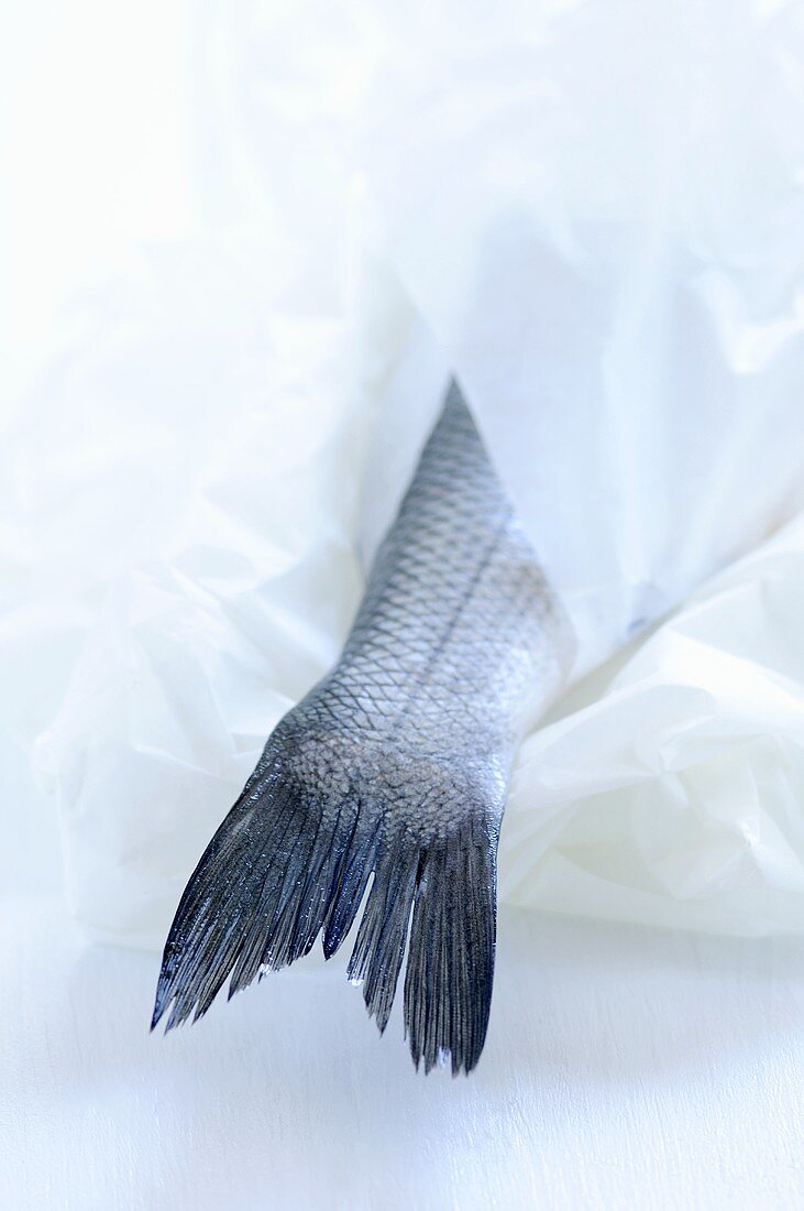 Fish wrapped in paper