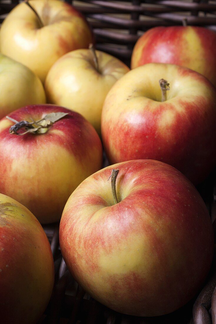Mitsu apples at the market in New Jersey (USA)