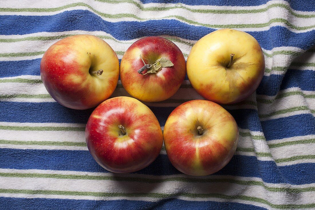 Mitsu apples (New Jersey, USA)
