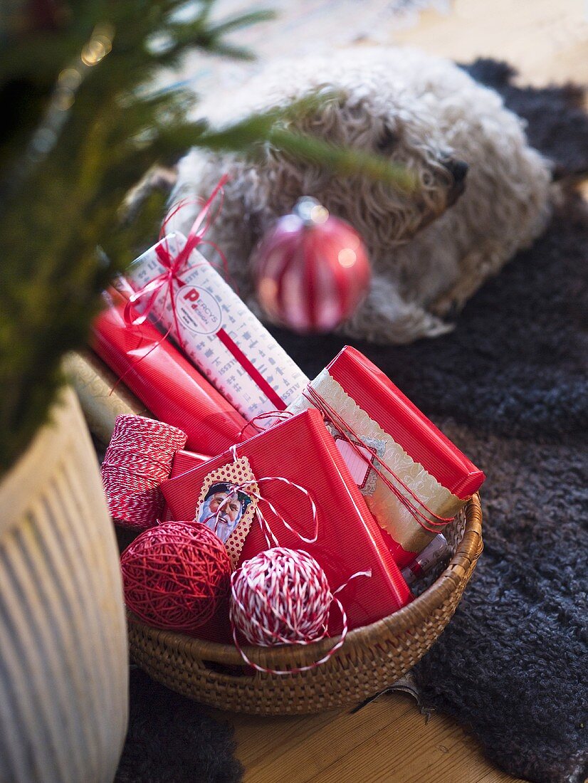 Weihnachtsgeschenke im Korb, dahinter Hund auf Teppich
