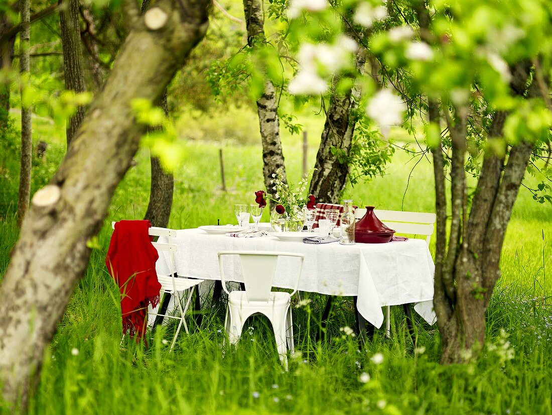Gedeckter Tisch unter Bäumen im Garten